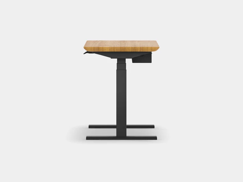Standing Desk Pro Mini Bundle